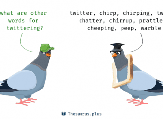 Twitter’ng with diplomacy and its apps
